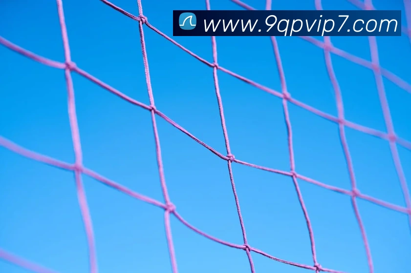 天天棋牌平台生态图